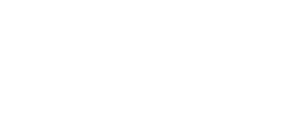 logo_nowus_variante_blanco